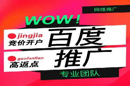 竞价广告赚钱攻略：百度平台实战案例